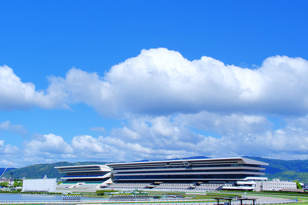 京都競馬場整備工事